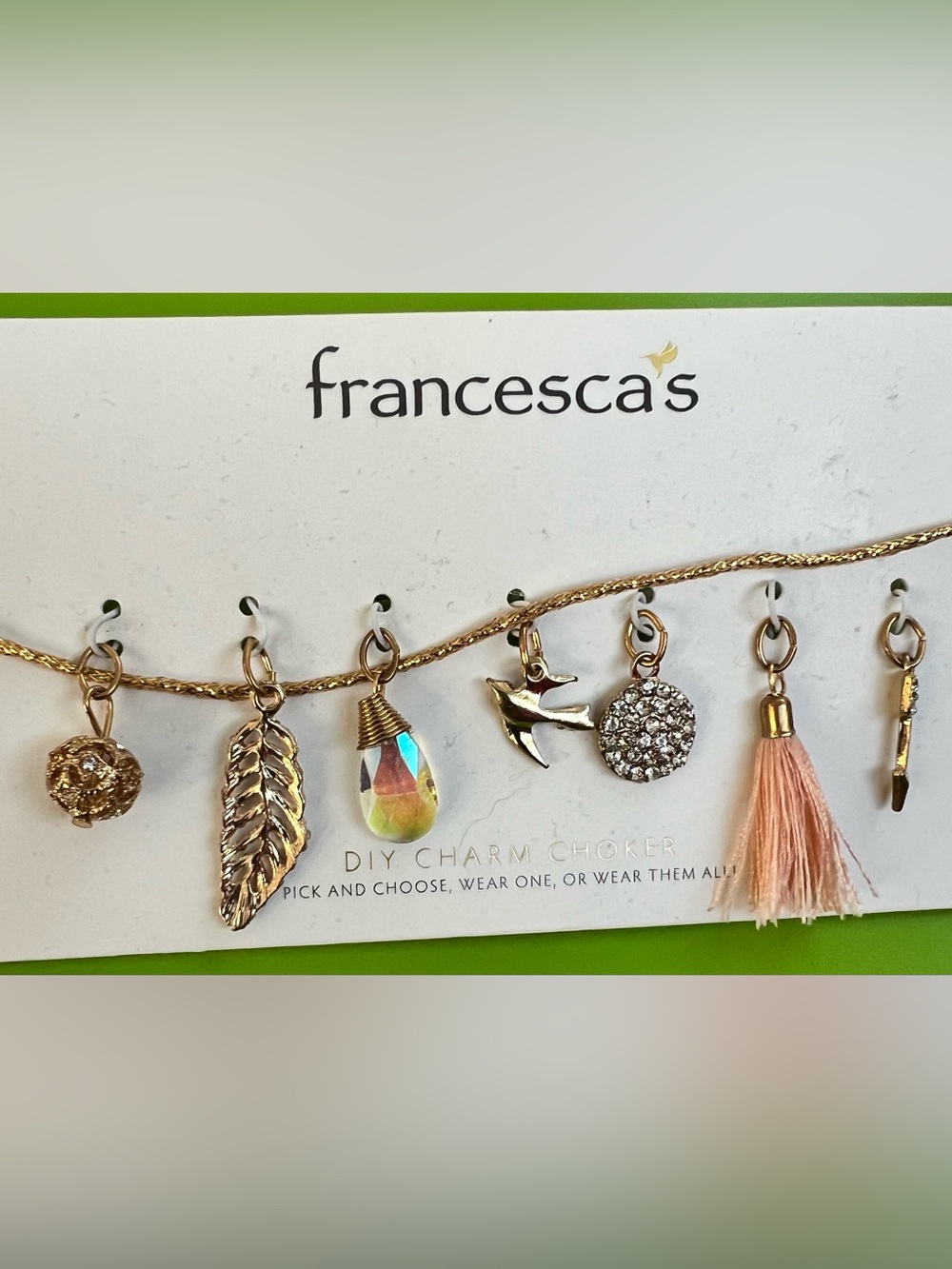 Francesca's Collections DIY Charm Choker set  dainty necklace NEW